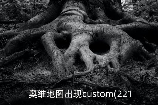  奥维地图出现custom(221