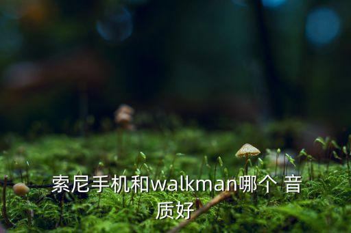  索尼手机和walkman哪个 音质好