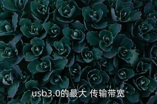 usb3.0的最大 传输带宽