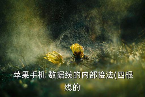  苹果手机 数据线的内部接法(四根线的