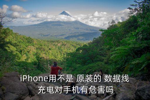 iphone用不是 原装的 数据线 充电对手机有危害吗