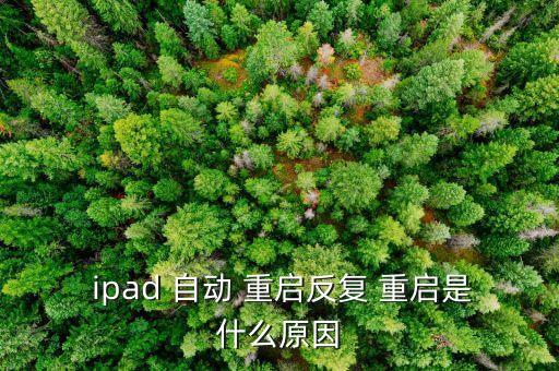  ipad 自动 重启反复 重启是什么原因