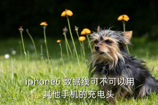  iphone6 数据线可不可以用其他手机的充电头