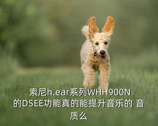  索尼h.ear系列whh900n的dsee功能真的能提升音乐的 音质么