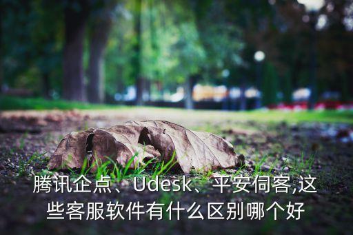 腾讯企点、udesk、平安伺客,这些客服软件有什么区别哪个好