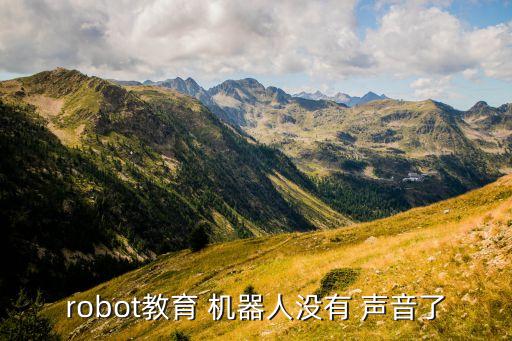 robot教育 机器人没有 声音了