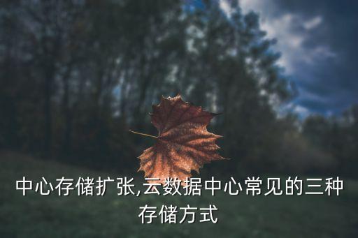 数据中心存储扩张,云数据中心常见的三种存储方式