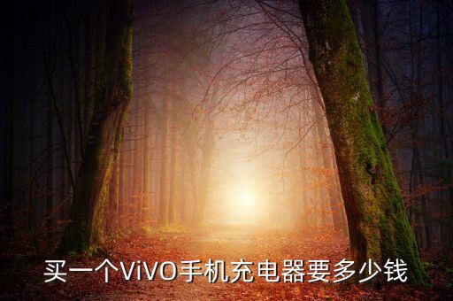 vivo数据线是价格多少