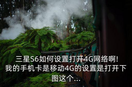  三星s6如何设置打开4g网络啊!我的手机卡是移动4g的设置是打开下图这个...