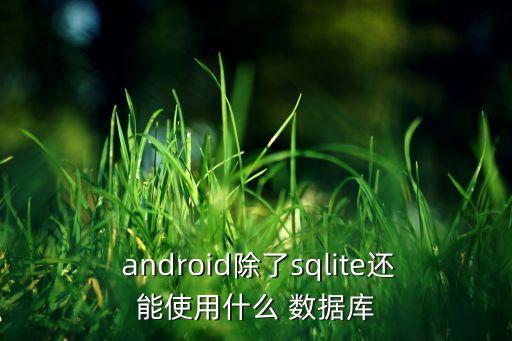  android除了sqlite还能使用什么 数据库