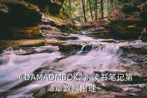 《damadmbok2》读书笔记第3章数据治理