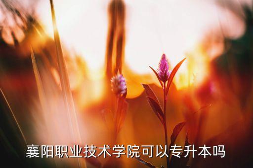 襄阳职业技术学院可以专升本吗