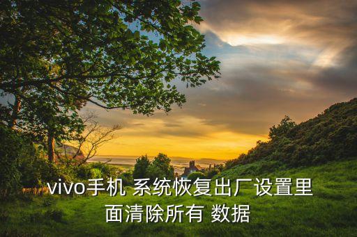  vivo手机 系统恢复出厂设置里面清除所有 数据