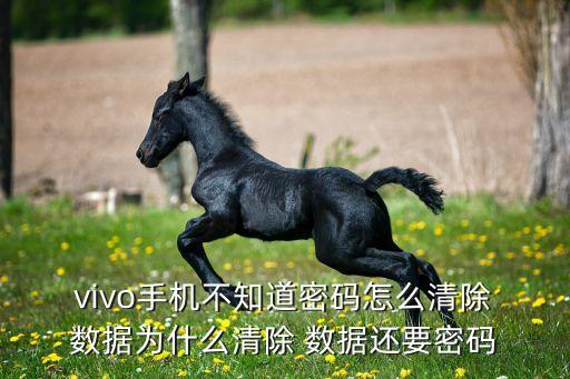  vivo手机不知道密码怎么清除 数据为什么清除 数据还要密码