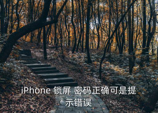 iphone 锁屏 密码正确可是提示错误