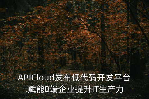 apicloud发布低代码开发平台,赋能b端企业提升it生产力