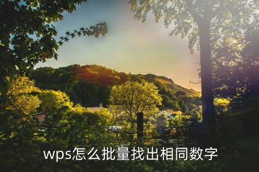  wps怎么批量找出相同数字