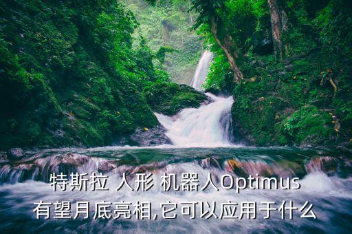 特斯拉 人形 机器人optimus有望月底亮相,它可以应用于什么