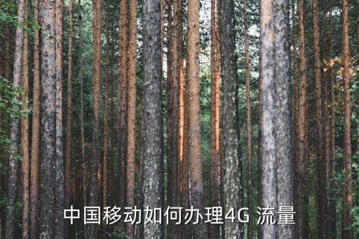 中国移动如何办理4g 流量