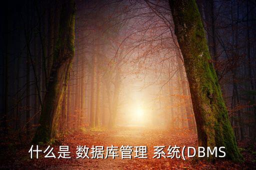 什么是 数据库管理 系统(dbms