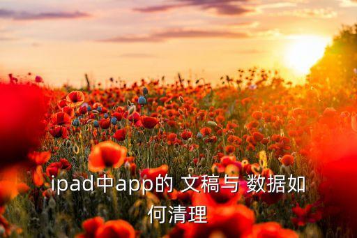 ipad中app的 文稿与 数据如何清理