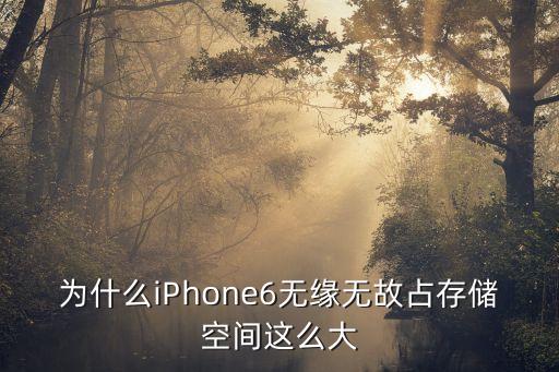 为什么iphone6无缘无故占存储空间这么大