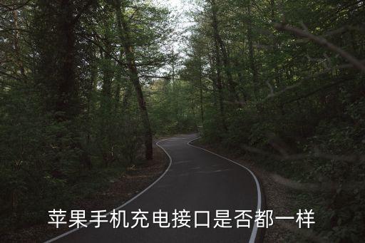 苹果手机充电接口是否都一样