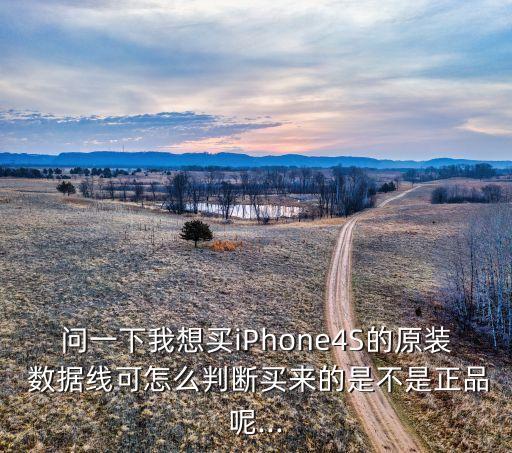 问一下我想买iphone4s的原装 数据线可怎么判断买来的是不是正品呢...