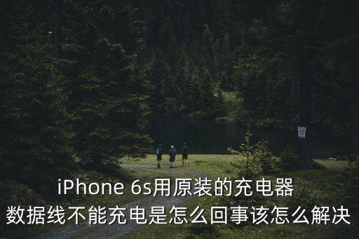 iphone 6s用原装的充电器 数据线不能充电是怎么回事该怎么解决