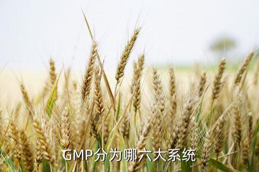 gmp分为哪六大系统