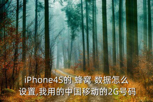 iphone4s的 蜂窝 数据怎么 设置,我用的中国移动的2g号码