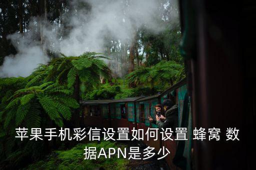 蜂窝数据apn在哪