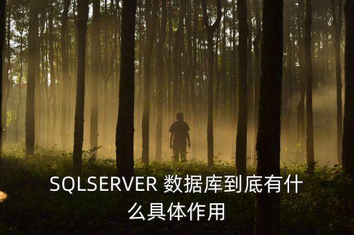 sqlserver 数据库到底有什么具体作用