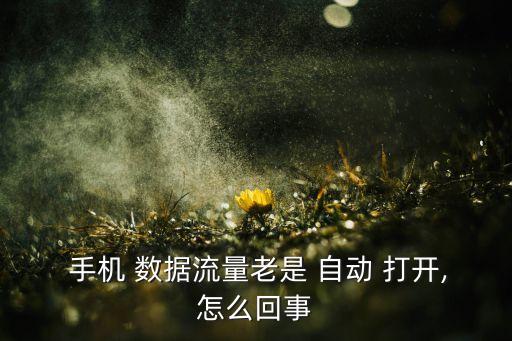  手机 数据流量老是 自动 打开,怎么回事