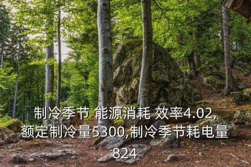 制冷季节 能源消耗 效率4.02,额定制冷量5300,制冷季节耗电量824