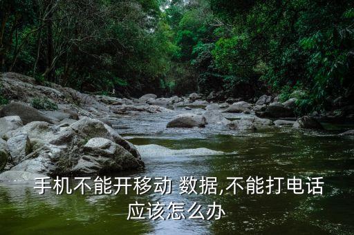  手机不能开移动 数据,不能打电话应该怎么办