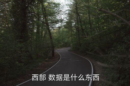 西部数据股份有限公司