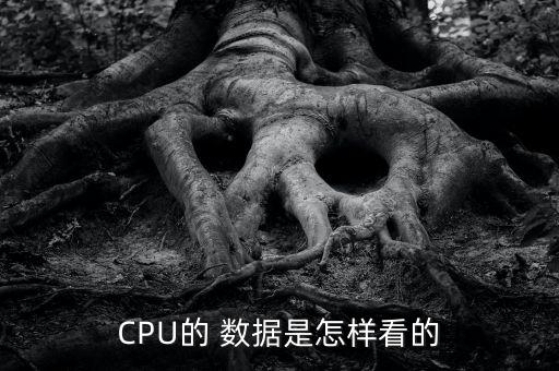 cpu的 数据是怎样看的