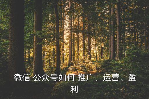  微信 公众号如何 推广、运营、盈利