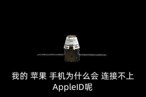 我的 苹果 手机为什么会 连接不上appleid呢