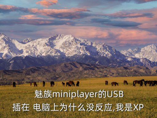  魅族miniplayer的usb插在 电脑上为什么没反应,我是xp