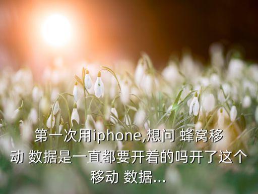 第一次用iphone,想问 蜂窝移动 数据是一直都要开着的吗开了这个移动 数据...