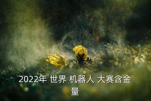 2022年 世界 机器人 大赛含金量