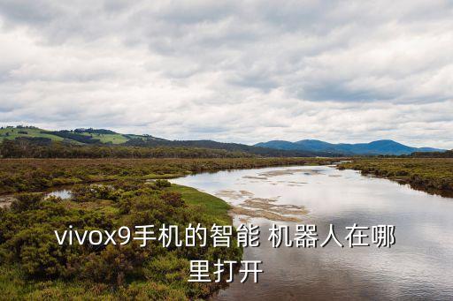 vivox9手机的智能 机器人在哪里打开