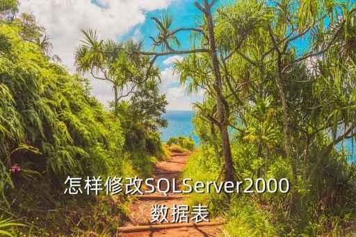 怎样修改sqlserver2000 数据表