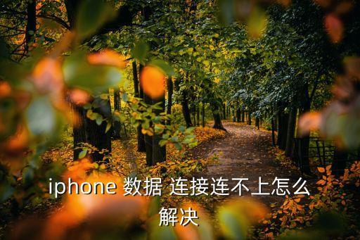 iphone 数据 连接连不上怎么解决