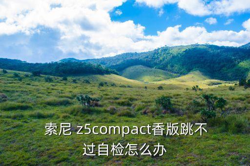  索尼 z5compact香版跳不过自检怎么办