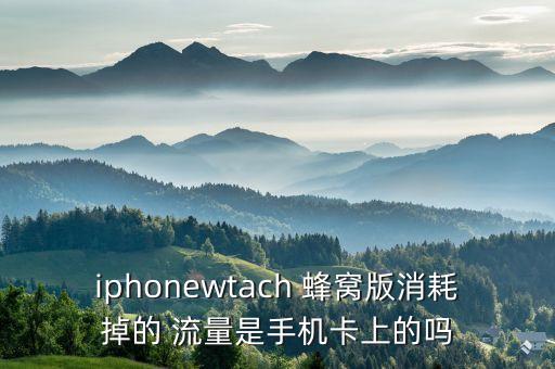 iphonewtach 蜂窝版消耗掉的 流量是手机卡上的吗