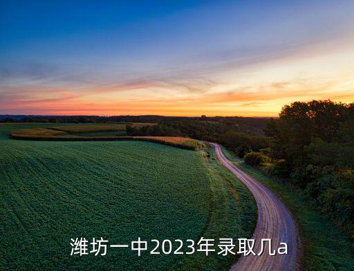  潍坊一中2023年录取几a