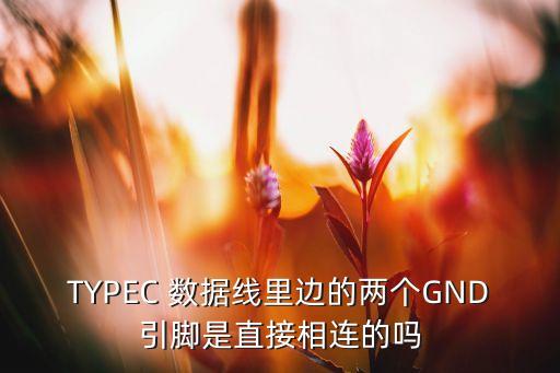 typec 数据线里边的两个gnd引脚是直接相连的吗